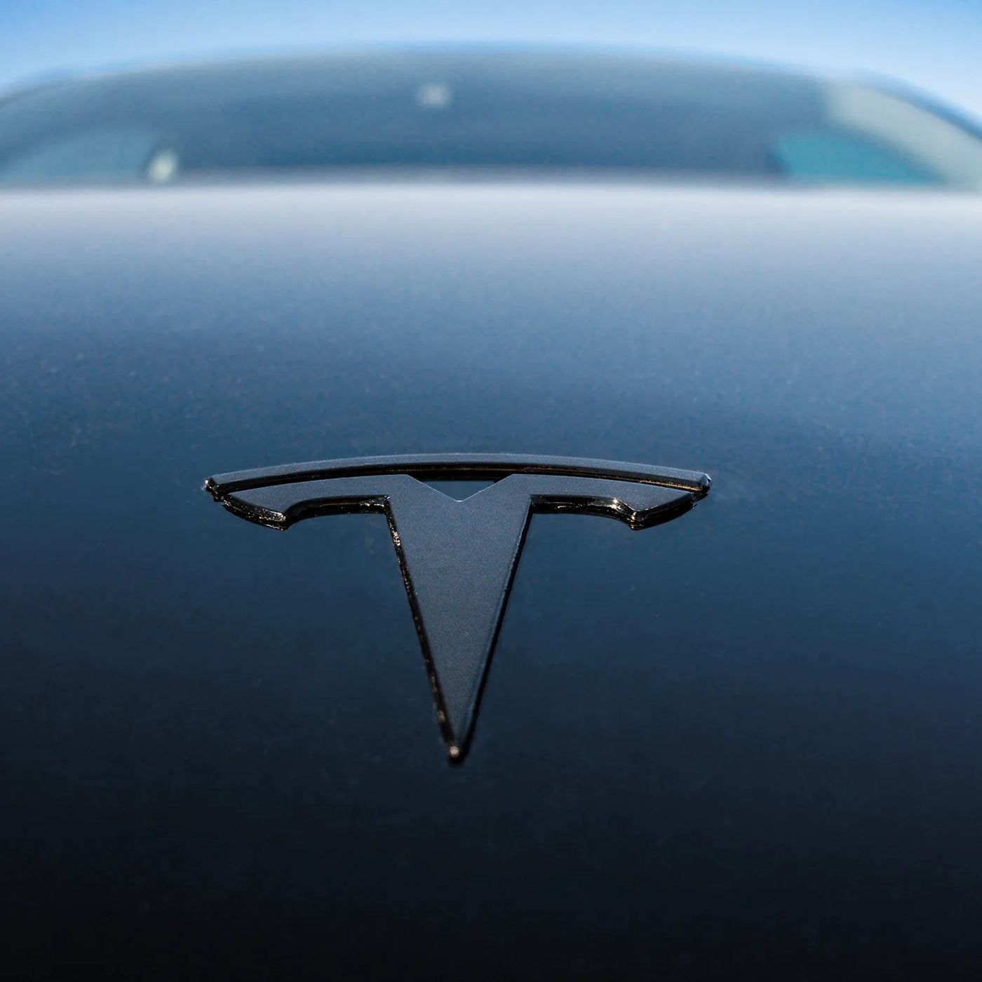 2020+ Tesla Model Y Blackout Emblems