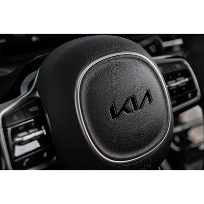2022+ Kia Blackout Steering Wheel Inlay