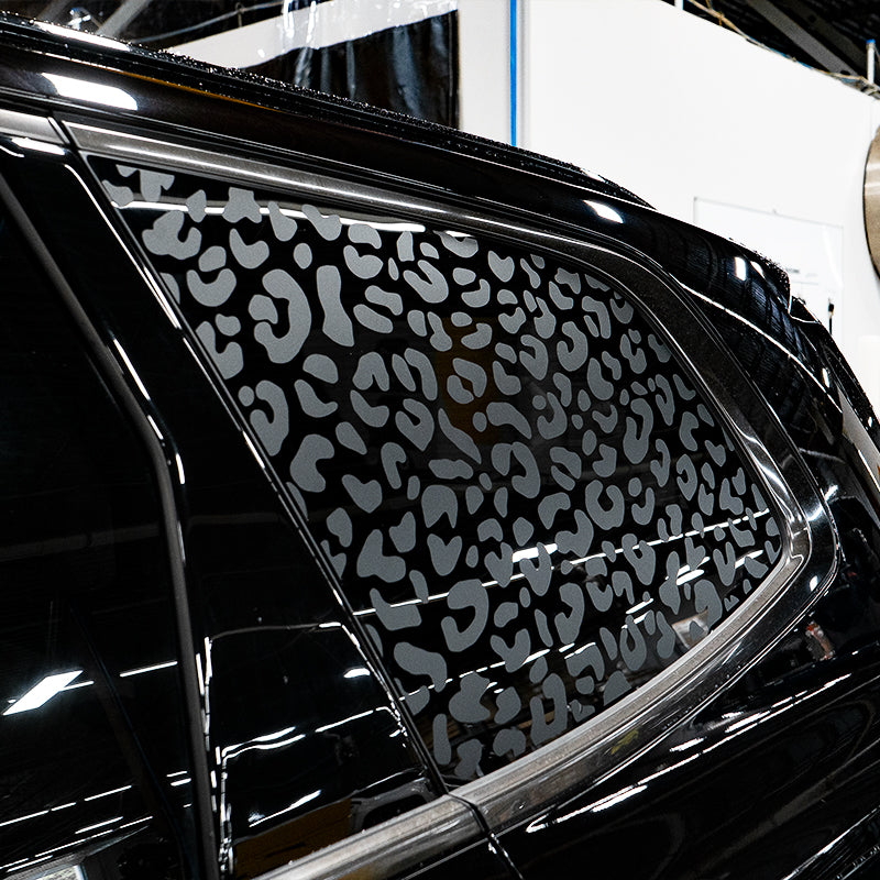 Car Shell Print Cheetah Print Cars